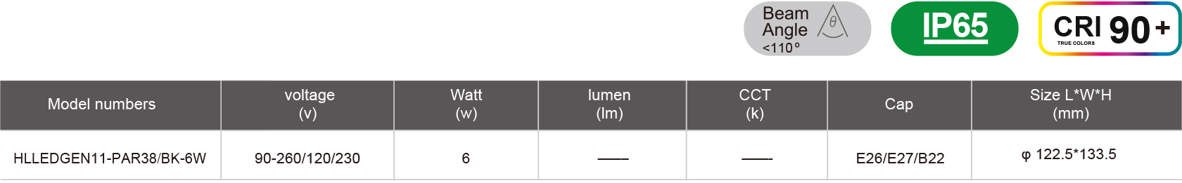 HLLEDGEN11-PAR38-BK-6W-規格表.jpg