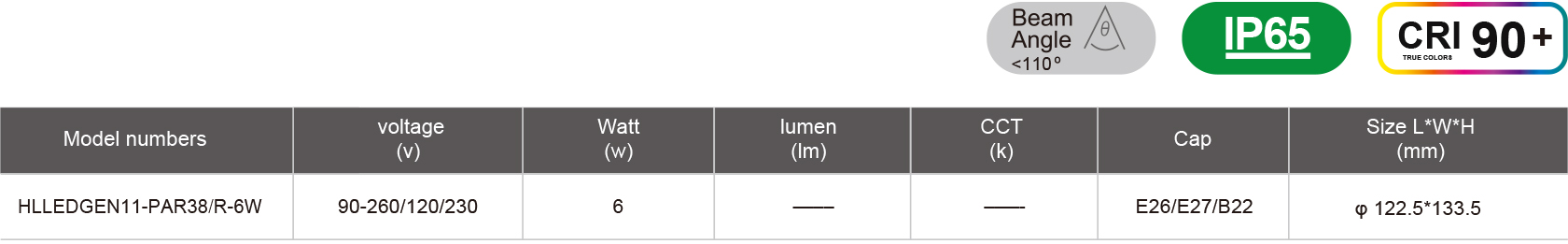 HLLEDGEN11-PAR38-R-6W-規格表.jpg