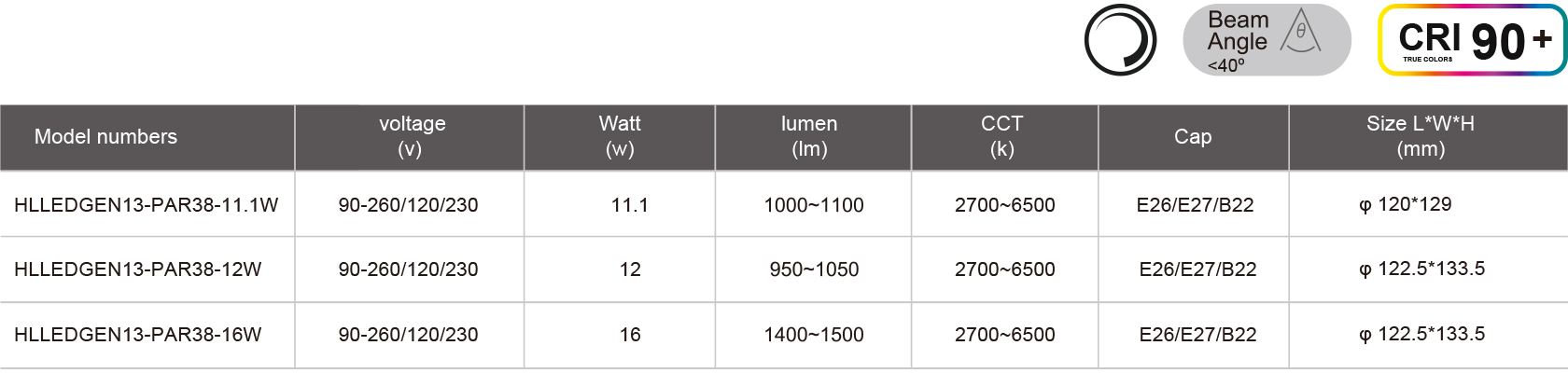 HLLEDGEN13-PAR38-11.1W-規格表.jpg