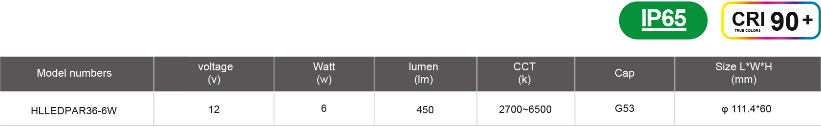 HLLEDPAR36-6W-規格表.jpg