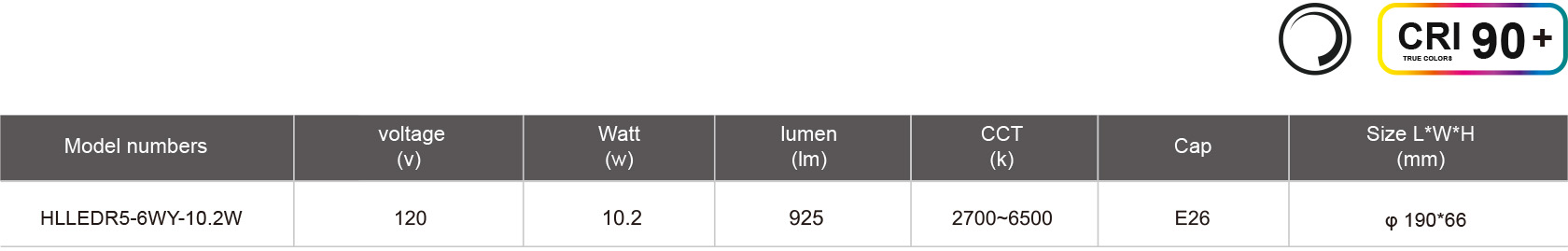 HLLEDR5-6WY-10.2W-規格表.jpg