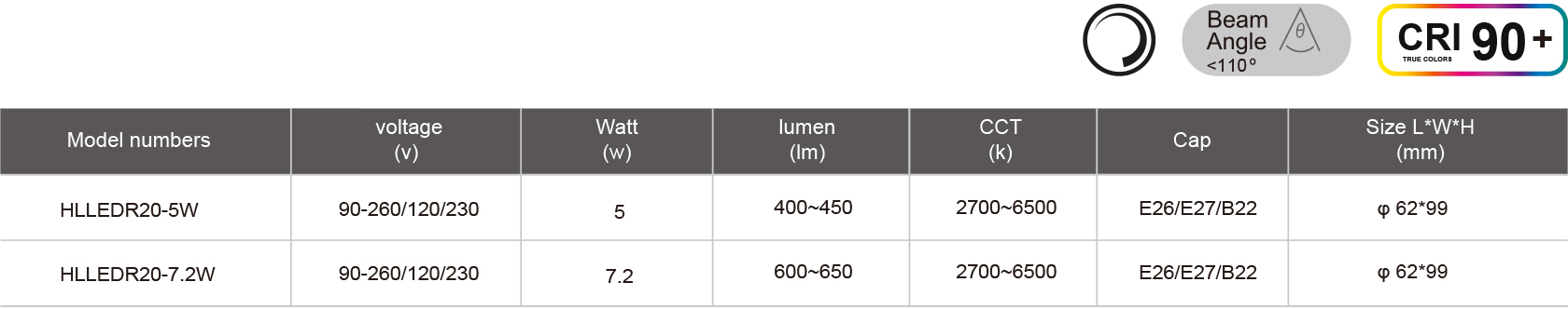 HLLEDR20-5W-規格表.jpg