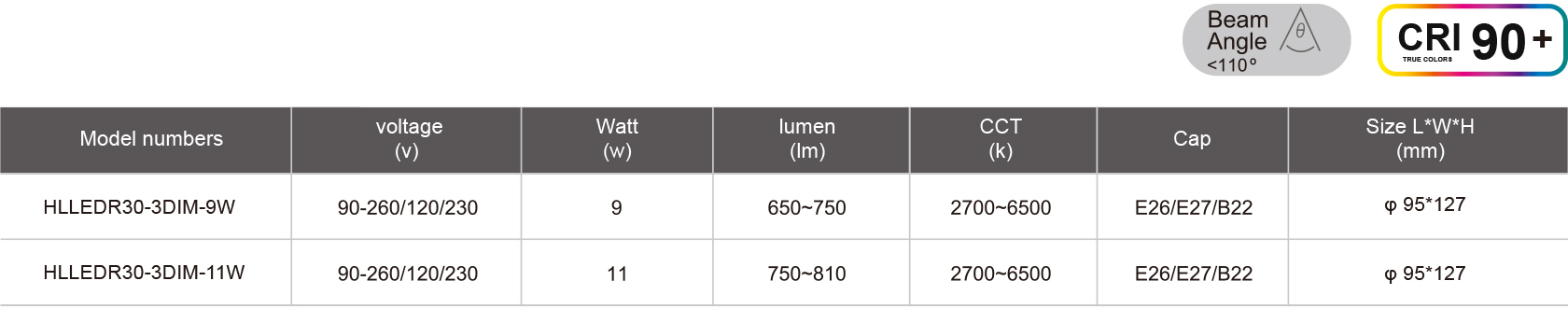 HLLEDR30-3DIM-9W-規格表.jpg