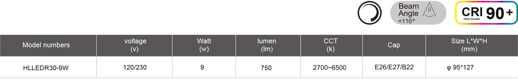 HLLEDR30-9W-規格表.jpg