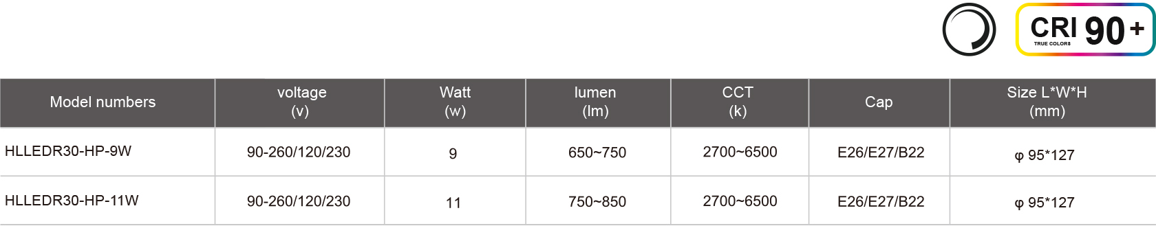 HLLEDR30-HP-9W-規格表.jpg