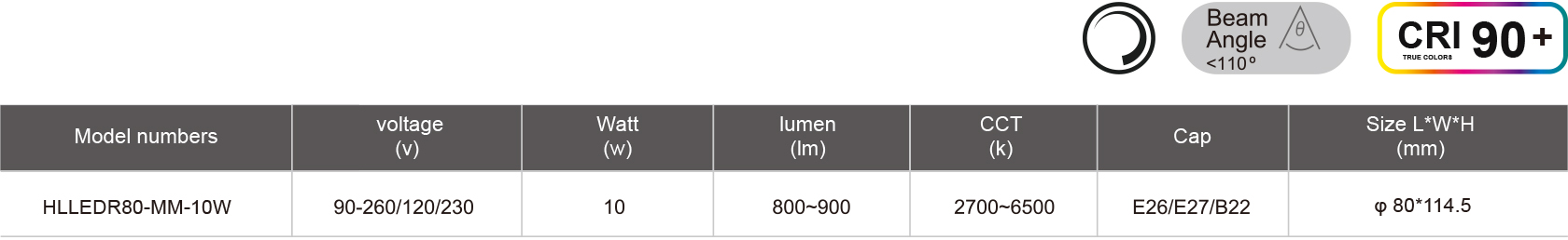 HLLEDR80-MM-10W-規格表.jpg